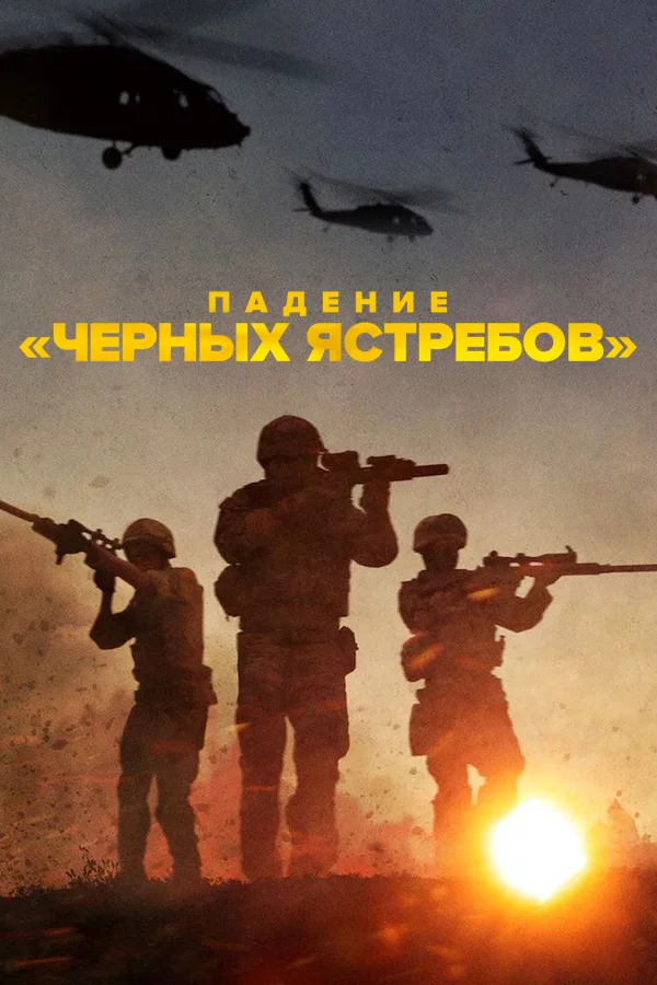 Падение «Черных ястребов»